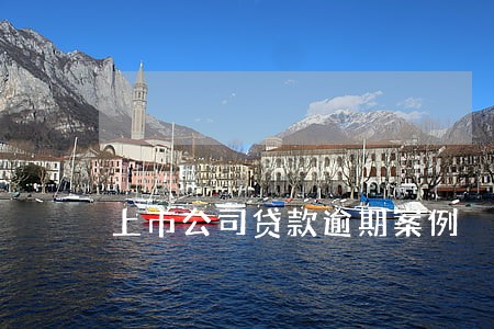 上市公司贷款逾期案例 上市公司贷款逾期案例
