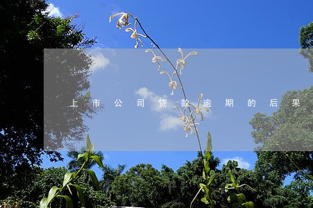 上市公司贷款逾期的后果 上市公司贷款逾期的后果