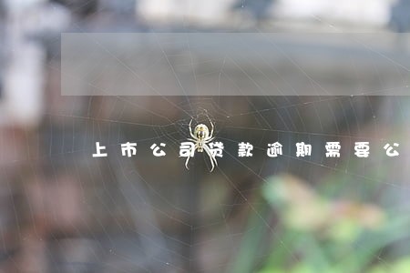 上市公司贷款逾期需要公告吗