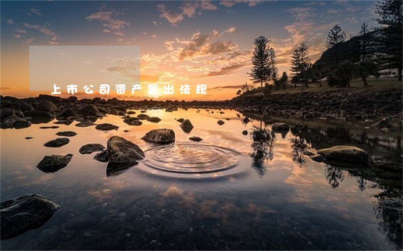 上市公司资产置出法规 上市公司资产置出法规