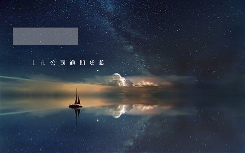 上市公司逾期贷款 上市公司逾期贷款