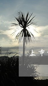 上市公司重整资金占用 上市公司重整资金占用