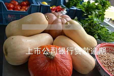 上市公司银行贷款逾期 上市公司银行贷款逾期
