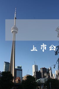 上市公司银行逾期