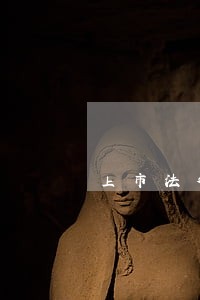 上市法律意见书报价 上市法律意见书报价