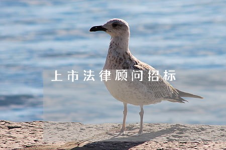 上市法律顾问招标 上市法律顾问招标
