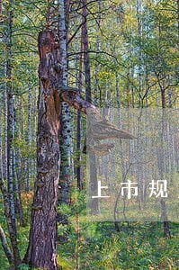 上市规则经济法 上市规则经济法