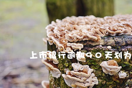 上市银行逾期90天划为不良 上市银行逾期90天划为不良