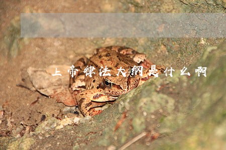 上帝律法大纲是什么啊 上帝律法大纲是什么啊