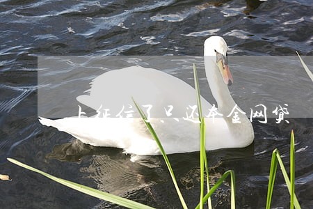上征信了只还本金网贷 上征信了只还本金网贷