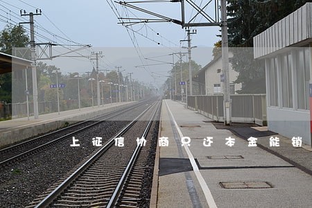 上征信协商只还本金能销账吗 上征信协商只还本金能销账吗