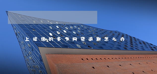 上征信的多个网贷逾期怎么办 上征信的多个网贷逾期怎么办