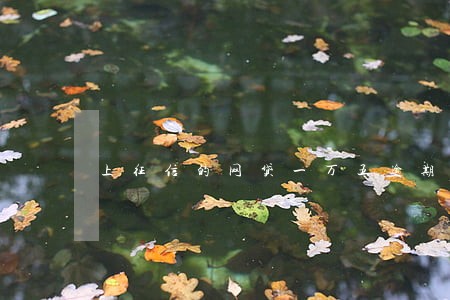 上征信的网贷一万五逾期一年 上征信的网贷一万五逾期一年