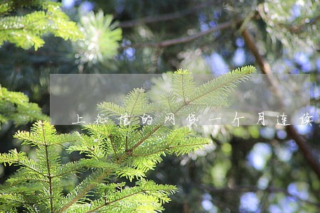 上征信的网贷一个月连续逾期 上征信的网贷一个月连续逾期