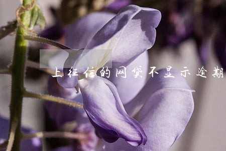 上征信的网贷不显示逾期 上征信的网贷不显示逾期