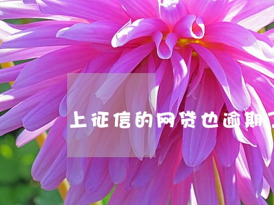 上征信的网贷也逾期了 上征信的网贷也逾期了
