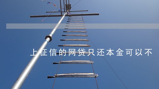 上征信的网贷只还本金可以不 上征信的网贷只还本金可以不