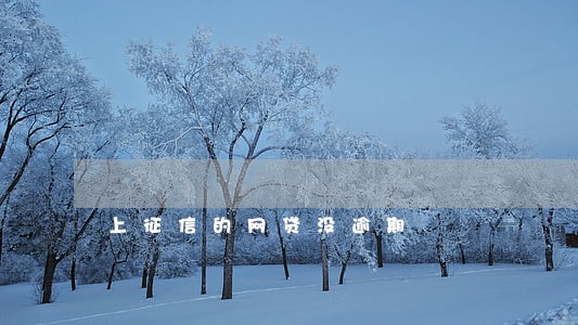 上征信的网贷没逾期 上征信的网贷没逾期
