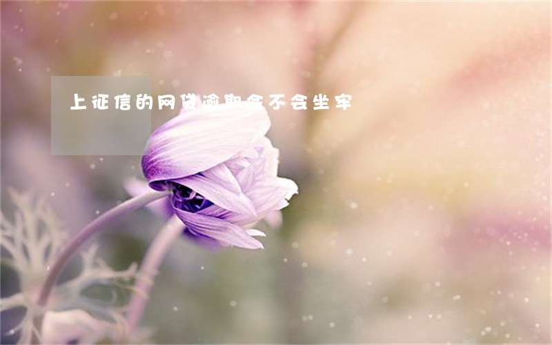 上征信的网贷逾期会不会坐牢 上征信的网贷逾期会不会坐牢