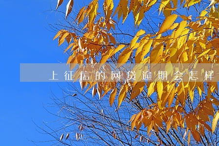 上征信的网贷逾期会怎样 上征信的网贷逾期会怎样