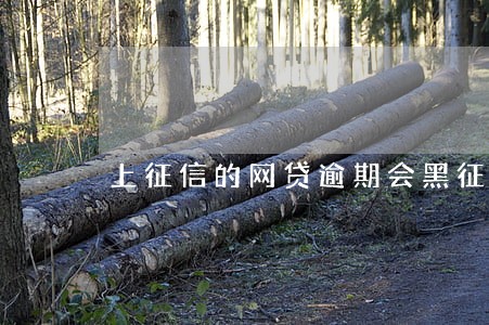 上征信的网贷逾期会黑征信吗 上征信的网贷逾期会黑征信吗
