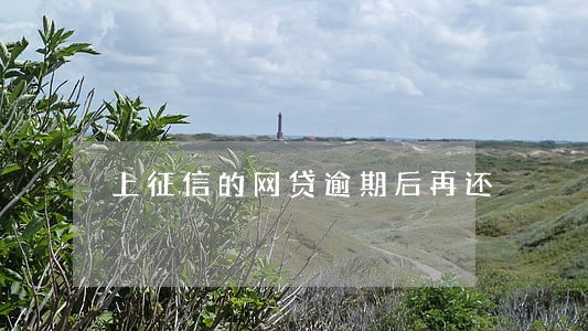 上征信的网贷逾期后再还 上征信的网贷逾期后再还