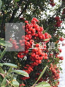 上征信的网贷逾期四个月 上征信的网贷逾期四个月