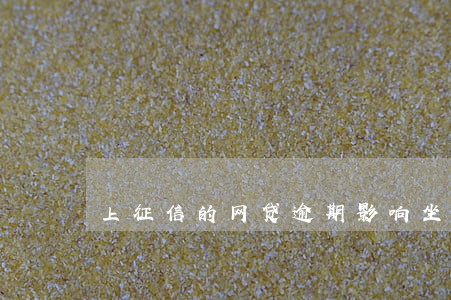 上征信的网贷逾期影响坐飞机 上征信的网贷逾期影响坐飞机