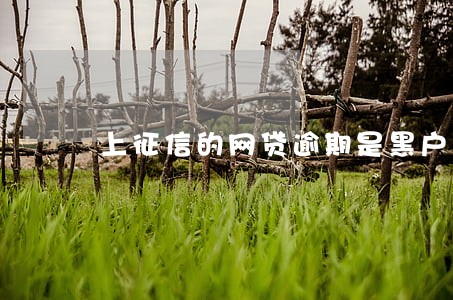 上征信的网贷逾期是黑户吗 上征信的网贷逾期是黑户吗