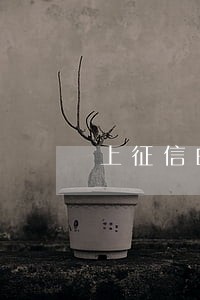 上征信的网贷逾期有什么后果 上征信的网贷逾期有什么后果