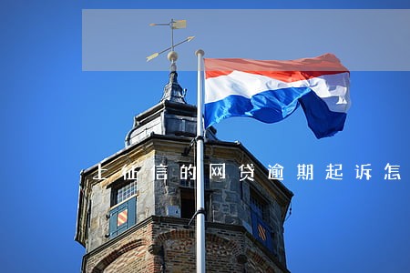 上征信的网贷逾期起诉怎么办 上征信的网贷逾期起诉怎么办