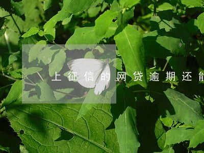 上征信的网贷逾期还能下高炮吗 上征信的网贷逾期还能下高炮吗