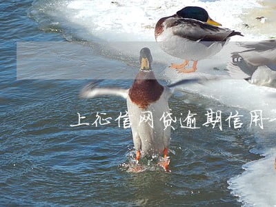 上征信网贷逾期信用卡会停吗 上征信网贷逾期信用卡会停吗