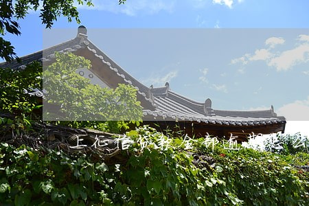 上征信贷款全部逾期怎么办 上征信贷款全部逾期怎么办