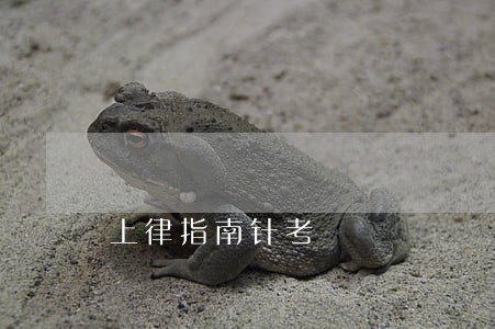 上律指南针考