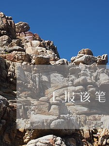 上报该笔贷款逾期 上报该笔贷款逾期