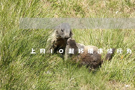 上月10起环境违法行为被查处 上月10起环境违法行为被查处