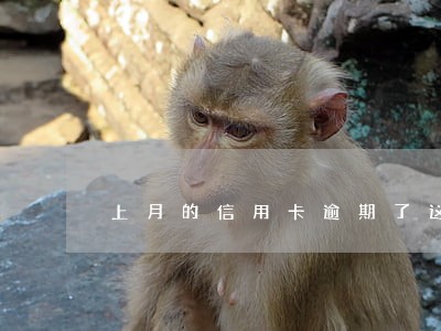 上月的信用卡逾期了这月怎么还 上月的信用卡逾期了这月怎么还