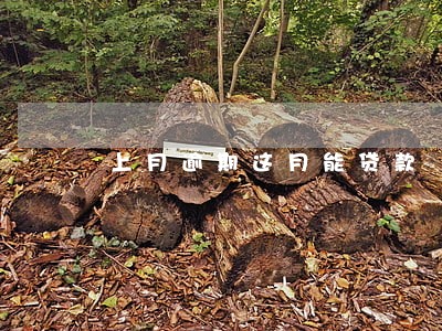 上月逾期这月能贷款 上月逾期这月能贷款