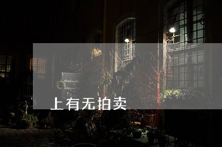 上有无拍卖 上有无拍卖