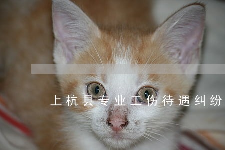 上杭县专业工伤待遇纠纷律师 上杭县专业工伤待遇纠纷律师