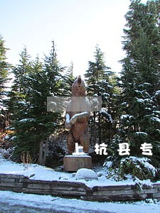 上杭县专业涉外合同纠纷律师 上杭县专业涉外合同纠纷律师
