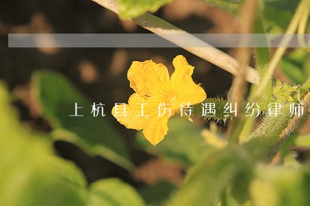 上杭县工伤待遇纠纷律师 上杭县工伤待遇纠纷律师