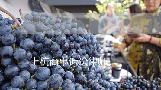 上杭商事诉讼律师