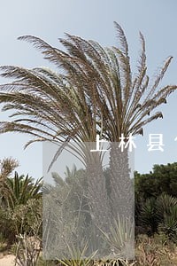 上林县借款合同纠纷律师收费 上林县借款合同纠纷律师收费