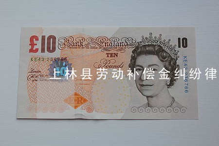 上林县劳动补偿金纠纷律师 上林县劳动补偿金纠纷律师