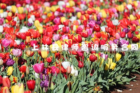 上林县律师咨询服务合同咨询 上林县律师咨询服务合同咨询