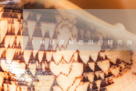 上林县律师聘用合同咨询 上林县律师聘用合同咨询