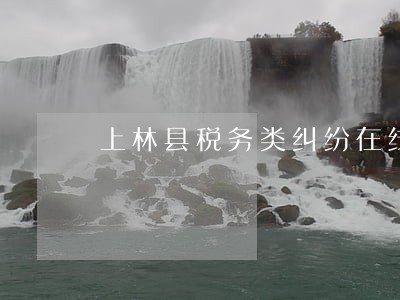 上林县税务类纠纷在线律师