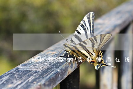 上林可靠的债务律师在线免费咨询 上林可靠的债务律师在线免费咨询